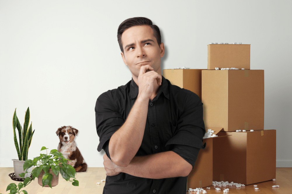 Movers Packing